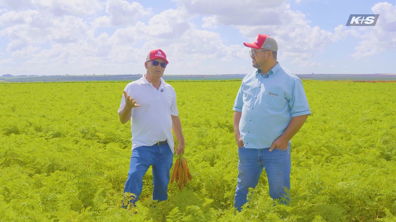 Duas pessoas em pé em uma plantação de cenouras, conversando sob um céu com nuvens. Uma delas segura cenouras na mão. Ambas usam bonés e roupas casuais. No canto superior direito, aparece o logotipo da K+S.