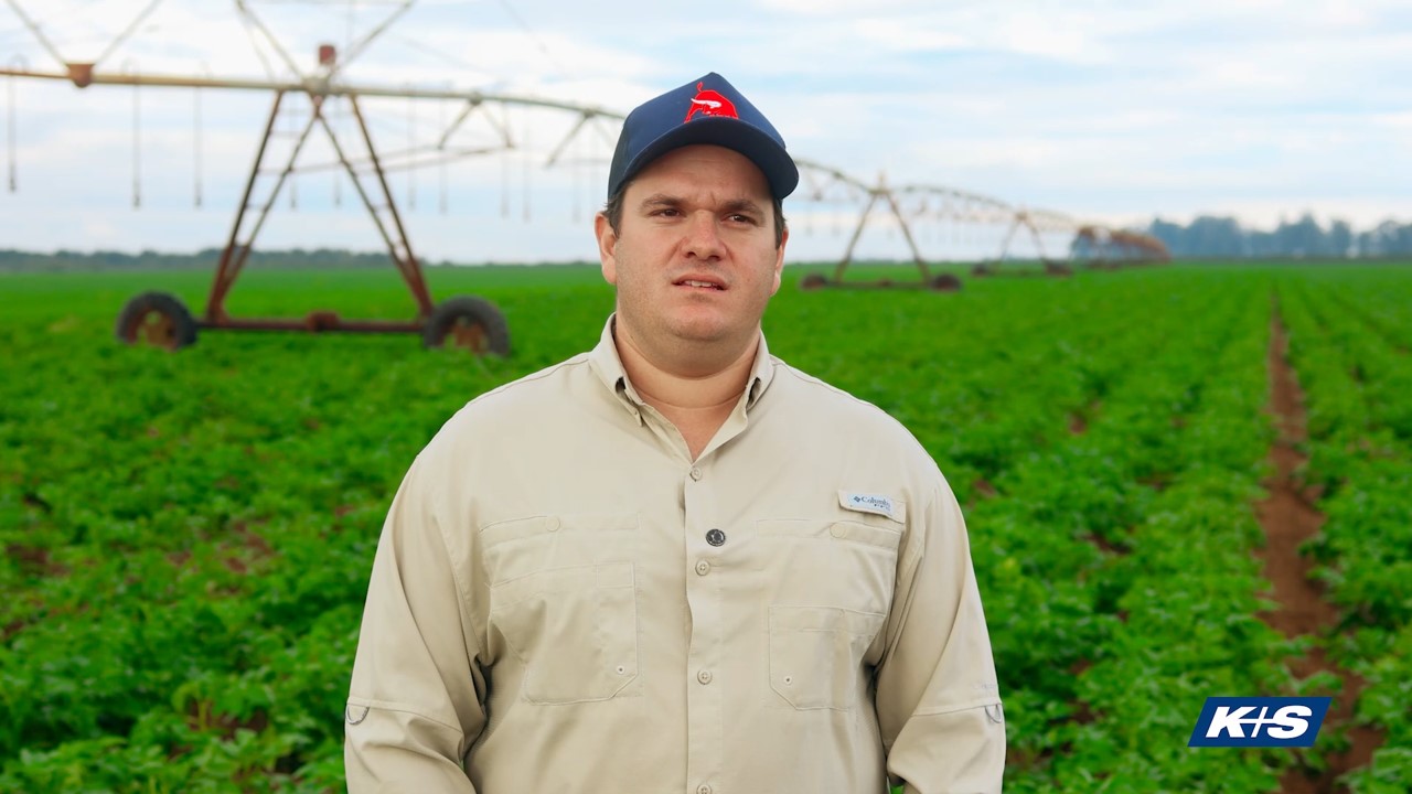 Pessoa usando camisa de manga comprida bege e boné com logotipo, posicionada em frente a uma plantação verde com sistema de irrigação por pivô central ao fundo. No canto inferior direito, aparece o logotipo da K+S.